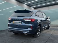 Gebraucht Ford Kuga ST-Line X 120 PS (88 kW) 2023 Blau SUV