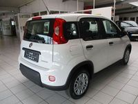 Gebraucht Fiat Panda 51 PS (37 kW) 2024 Weiss Limousine