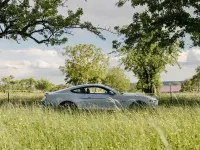 Occasion Ford Mustang Fastback 460 ch (338 kW) 2023 Gris