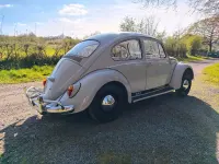 Używany VW Käfer 34 KM (25 kW) 1965 Szary Hatchback
