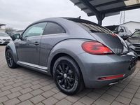 Gebraucht VW Beetle Design 110 PS (80 kW) 2018 Grau Kleinwagen