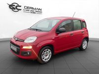 Gebraucht Fiat Panda Easy 69 PS (50 kW) 2015 Rot Kleinwagen