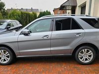 gebraucht Mercedes ML250 CDI Blue Tec AHK 360 ° HUD 4MATIC