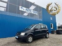 Gebraucht Fiat Panda Active 54 PS (39 kW) 2009 Blau Kleinwagen