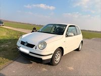 Gebraucht VW Lupo 75 PS (55 kW) 2001 Weiß Kleinwagen