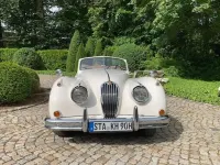 Gebraucht Jaguar XK 209 PS (153 kW) 1956 Weiß Coupé