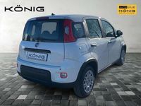 Gebraucht Fiat Panda 69 PS (50 kW) 2025 Weiß Kleinwagen