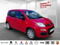 Neu Fiat Panda Icon 65 PS (47 kW) 2026 Rot Kleinwagen
