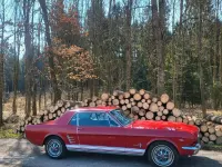 Używany Ford V8 200 KM (147 kW) 1966 Czerwony Coupe