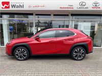 gebraucht Lexus UX 250h Style Edition KEYLESS PDC SHZ ACC LED