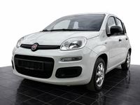 Gebraucht Fiat Panda Pop 69 PS (50 kW) 2016 Weiß Kleinwagen