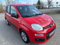 gebraucht Fiat Panda Easy