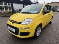 Neu Fiat Panda 69 PS (50 kW) 2025 Gelb Kleinwagen