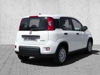 gebraucht Fiat Panda Hybrid Tech Paket, Radio, Klima, Multifunktion