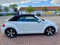 gebraucht VW Beetle 1.4 TSI DSG BMT SOUND Cabriolet SOUND