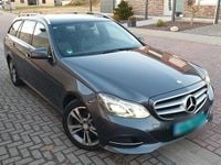 Gebraucht Mercedes E250 Avantgarde 204 PS (150 kW) 2014 Grau Kombi