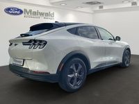 Gebraucht Ford Mustang Mach-E Basis 216 kW (294 PS) 2021 Starweiß metallic SUV
