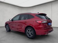 Gebraucht Ford Kuga ST-Line X 152 PS (111 kW) 2021 Rot SUV