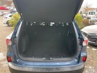 Gebraucht Ford Kuga Titanium X 224 PS (164 kW) 2022 Blau SUV