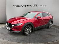 Gebraucht Mazda CX-30 2023 Rot SUV
