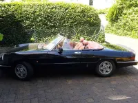 Gebraucht Alfa Romeo Spider 126 PS (92 kW) 1985 Schwarz Cabrio