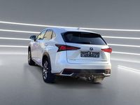 Gebraucht Lexus NX300h E-FOUR Executive Line 155 PS (114 kW) 2019 Weiß SUV