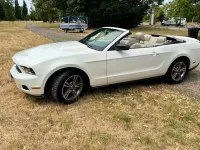 Gebraucht Ford Mustang 214 PS (157 kW) 2009 Weiß Cabrio
