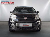 Gebraucht Fiat Panda 69 PS (50 kW) 2025 Cinema schwarz Kleinwagen