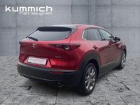 Gebraucht Mazda CX-30 Selection 122 PS (89 kW) 2020 Rot SUV