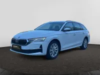 Gebraucht Skoda Octavia Selection 150 PS (110 kW) 2025 Weiß Kombi