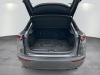 Gebraucht Mazda CX-30 Selection 150 PS (110 kW) 2021 Grau SUV