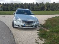 Brugt Mercedes E250 Elegance 204 HK (150 kW) 2010 Sølv Stationcar
