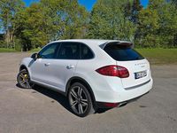 Gebraucht Porsche Cayenne Platinum Edition 245 PS (180 kW) 2014 Weiß SUV
