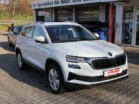 Gebraucht Skoda Karoq Selection 150 PS (110 kW) 2025 Moonweiß SUV