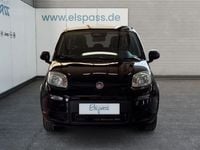 Usata Fiat Panda 69 CV (50 kW) 2024 Nero Utilitaria