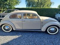 Gebraucht VW Käfer 24 PS (17 kW) 1954 Beige Coupé
