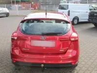 Usata Ford Focus Sport 125 CV (91 kW) 2015 Rosso