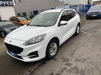 Gebraucht Ford Kuga ST-Line 190 PS (139 kW) 2022 Weiß SUV