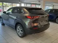Gebraucht Mazda CX-30 Active 116 PS (85 kW) 2019 Matrixgrau metallic SUV
