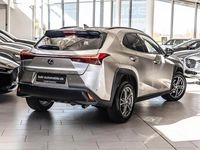 Gebraucht Lexus UX 250h 184 PS (135 kW) 2021 Grau SUV