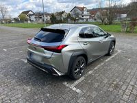 gebraucht Lexus UX 250h F-Sport MARK LEV/360°/ACC/HUD