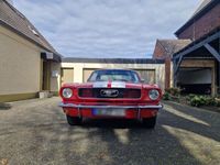 gebraucht Ford Mustang 1967er Coupé V8*Liebhaberfahrzeug*RESTAURIERT*