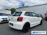 Gebraucht VW Polo Trendline 60 PS (44 kW) 2014 Weiß Kleinwagen