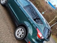 Gebraucht Ford Kuga Titanium 150 PS (110 kW) 2017 Grün SUV