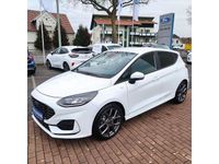 Gebraucht Ford Fiesta ST-Line 101 PS (74 kW) 2023 Frozen white (metallic) Kleinwagen