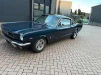 Gebraucht Ford V8 Fastback 202 PS (148 kW) 1965