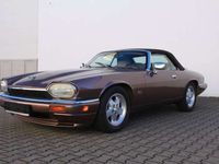 gebraucht Jaguar XJS Cabrio 2 Jahre Garantie