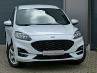 Gebraucht Ford Kuga ST-Line X 250 PS (183 kW) 2022 Weiß SUV