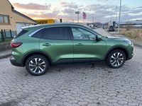 Gebraucht Ford Kuga Titanium 242 PS (177 kW) 2024 Grün SUV