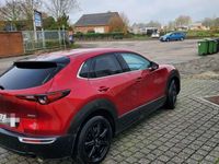 gebraucht Mazda CX-30 SKYACTIV-X 2.0 M-Hybrid AWD SELECTION